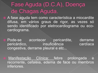  A fase aguda tem como característica a miocardite
difusa, em vários graus de rigor, as vezes só
sendo identificado por eletrocardiograma ou eco-
cardiograma.
 Pode-se acontecer pericardite, derrame
pericárdico, insuficiência cardíaca
congestiva, derrame pleural e etc...
 Manifestação Clínica: febre prolongada e
recorrente, cefaléia, edema de face ou membros
inferiores.
 
