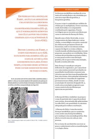 SOBRE FABRY
As doenças metabólicas resultam de erros
inatos do metabolismo e são estudadas por
uma área específica da genética, a
bioquímica genética.
O nosso corpo é constituído por milhões de
células que se multiplicam, vivem e morrem,
sendo destruídas e os componentes
reutilizados pelo organismo. Énesta
reciclagem quese encontra o problema que
causa os sintomas da Doença de Fabry.
Quando uma célula é destruída, os seus
componentes são fagocitados por outras
células, os macrófagos, nos quais o material
da célula morte permanece dentro de
lisossomas,onde se encontram enzimas
capazes de digerir os restos celulares,
transformando substâncias grandes em mais
pequenas, que podem serreutilizadas. Estas
enzimas são produzidas na própria célula e,
se uma pessoa sofreu uma alteração
genética, diz-se queocorreu uma mutação,
ficando a enzima alterada.
Esta doença é causada por um gene
deficiente do organismo e, por causa desse
erro uma enzima essencial é produzida em
quantidades insuficientes ou possui uma
estrutura quenão funciona adequadamente.
Sem esta enzima, determinadas substancias
que deviam ser removidas do organismo
permanecem nas células, dando-se uma
acumulação de material, designado GL-3,
sendo esta acumulação progressiva que
causa a maioria dos problemas que
aparecem aos pacientes.
A Doença de Fabry estabelece-se porqueo
corpo do paciente não é capaz de produzir
uma enzima, denominada alfa-galactosidase
(ou alfa-GAL), em quantidade ou estrutura
adequada para realizar a sua função.
A Doença de Fabry é uma das muitas
doenças metabólicas, que se caracteriza
como sendo uma doença hereditária,
provocadapor uma anomalia genética. Esta
afecta cerca de uma em cada 40.000
pessoas.
Por se tratar de um distúrbio raro tem-se
pouco conhecimento sobre as manifestações
e evolução clínica
EM PESSOAS COM A DOENÇA DE
FABRY, AS CÉLULAS ARMAZENAM
UMA SUBSTÂNCIAGORDUROSA
CHAMADA
GLOBOTRIAOSILCERAMIDA (GL-3),
QUE É NORMALMENTE REMOVIDA
DAS CÉLULAS POR UMA ENZIMA
CHAMADA ALFA-GALACTOSIDASE A
(ALFA-GAL).
DEVIDO À DOENÇA DE FABRY, O
CORPO NÃO PRODUZ ALFA-GAL
SUFICIENTEPARA ROMPER A GL-3E
E ESTA SE ACUMULA NOS
LISOSSOMOS CELULARES. COMO
TEMPO, O EXCESSO DESSE ACÚMULO
PODE CAUSAR DANOS NOS TECIDOS
DE TODO O CORPO.
 