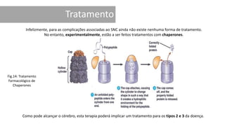 Infelizmente, para as complicações associadas ao SNC ainda não existe nenhuma forma de tratamento.
No entanto, experimentalmente, estão a ser feitos tratamentos com chaperones.
Como pode alcançar o cérebro, esta terapia poderá implicar um tratamento para os tipos 2 e 3 da doença.
Fig.14: Tratamento
Farmacológico de
Chaperones
 
