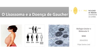 O Lisossoma e a Doença de Gaucher
Biologia Celular e
Molecular II
MIM
2014/2015
Filipe Santos Leal
 
