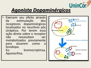 Agonista Dopaminérgicos
• Exercem seu efeito através
  da      estimulação      dos
  receptores dopaminérgicos
  localizados no neurônio pós
  sináptico. Por terem essa
  ação direta sobre o receptor
  não      necessitam      ser
  metabolizados previamente
  para atuarem como a
  levodopa.
  Ex:          bromocriptinsa,
  Apomorfina.
 
