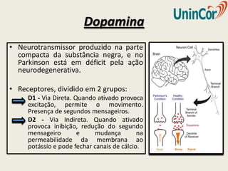Dopamina
• Neurotransmissor produzido na parte
  compacta da substância negra, e no
  Parkinson está em déficit pela ação
  neurodegenerativa.

• Receptores, dividido em 2 grupos:
     D1 - Via Direta. Quando ativado provoca
     excitação, permite o movimento.
     Presença de segundos mensageiros.
     D2 - Via Indireta. Quando ativado
     provoca inibição, redução do segundo
     mensageiro        e    mudança         na
     permeabilidade da membrana ao
     potássio e pode fechar canais de cálcio.
 