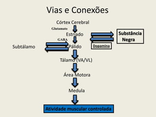 Vias e Conexões
                Córtex Cerebral
              Glutamato
                      Estriado                Substância
                 GABA                          Negra
Subtálamo                 Pálido   Dopamina


                  Tálamo (VA/VL)

                    Área Motora


                          Medula


            Atividade muscular controlada
 