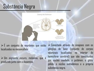 Substância Negra




 É um conjunto de neurônios que estão  Conectada através de sinapses com os
localizados no mesencéfalo             gânglios de base (conjunto de corpos
                                       neuronais localizados no interior do
 Um pigmento escuro, melanina, que é hemisfério cerebral) que são constituídos
produzido junto com a dopamina.        por núcleo caudado, o putâmen, o globo
                                       pálido, o núcleo subtalâmico e a própria
                                       substância negra.
 