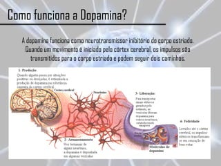 Como funciona a Dopamina?
   A dopamina funciona como neurotransmissor inibitório do corpo estriado.
    Quando um movimento é iniciado pelo córtex cerebral, os impulsos são
       transmitidos para o corpo estriado e podem seguir dois caminhos.
 