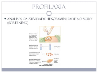 profilaxia
análises da atividade hexosaminidade no soro
(Screening)
 