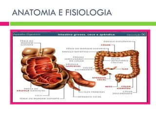 ANATOMIA E FISIOLOGIA

 
