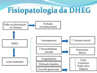 Falha na placentação 20ª Semana DHEG Lesão endotelial Perfusão uteroplacentária Pressão arterial Vasoespásmos Permeabilidade vascular Coagulopatias Proteinúria Edema Uréia Creatinina Ácido úrico Oligúria Disfunção hepática Taxa filt glomerular ↑ ↑ ↑ ↑ ↑ ↓ ↓ ↑ 