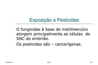 Exposição a Pesticidas
O fungicidas à base de metilmercúro
atingem principalmente as células do
SNC do embrião.
Os pesticidas são – cancerígenas.
14/09/15 Prof. 52
 