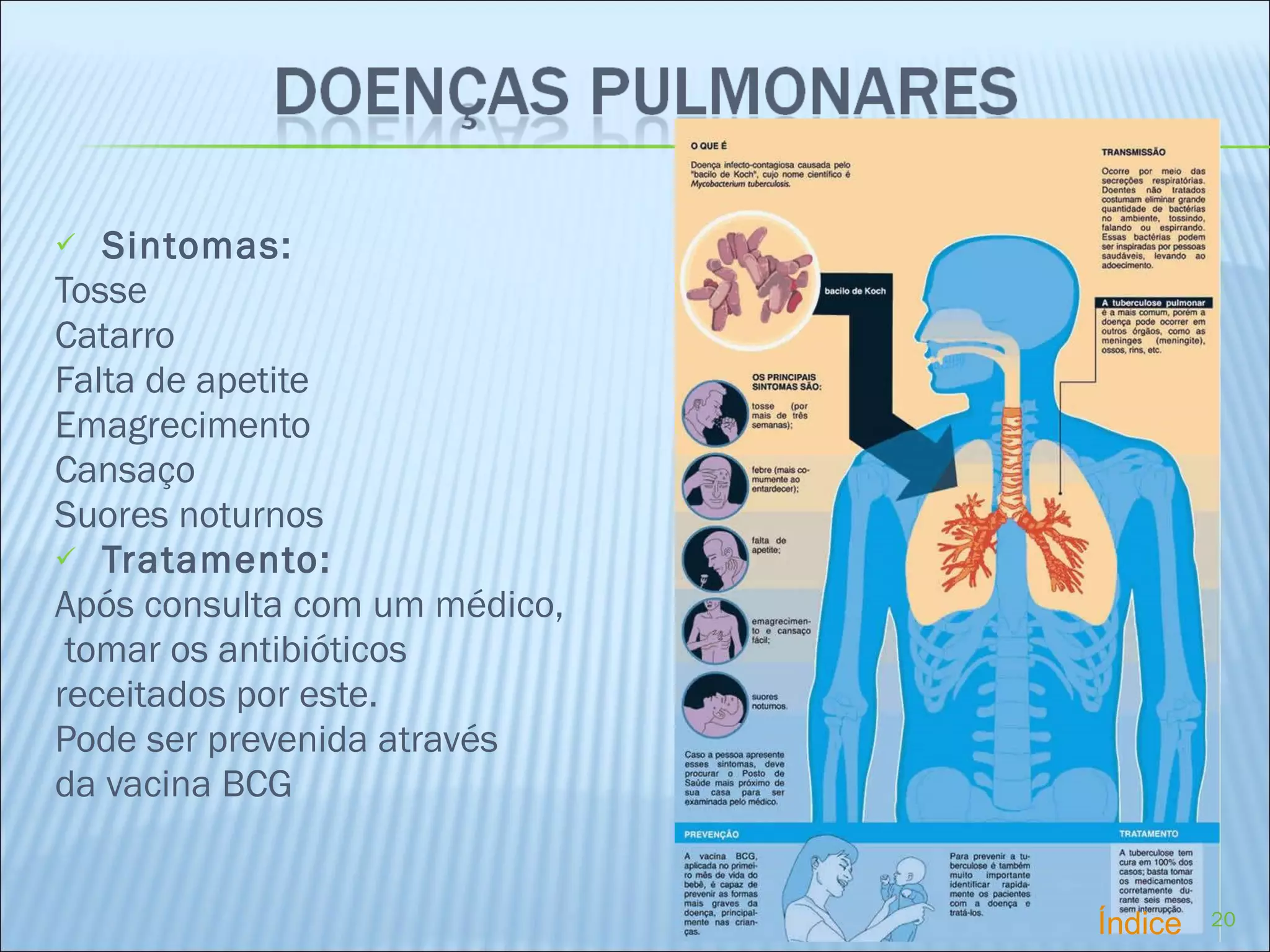 Sintomas: Tosse Catarro Falta de apetite Emagrecimento Cansaço Suores noturnos  Tratamento: Após consulta com um médico, tomar os antibióticos receitados por este. Pode ser prevenida através  da vacina BCG Índice 