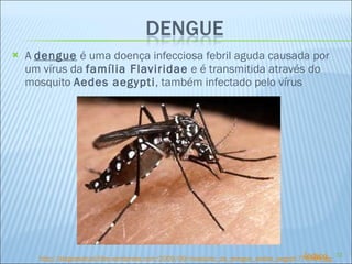 A  dengue  é uma doença infecciosa febril aguda causada por um vírus da  família Flaviridae  e é transmitida através do mosquito  Aedes aegypti , também infectado pelo vírus http://alagoasatual.files.wordpress.com/2009/09/mosquito_da_dengue_aedes_aegypt-776999.jpg Índice 