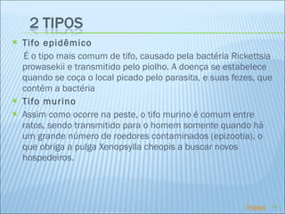 Tifo epidêmico É o tipo mais comum de tifo, causado pela bactéria Rickettsia prowasekii e transmitido pelo piolho. A doença se estabelece quando se coça o local picado pelo parasita, e suas fezes, que contém a bactéria Tifo murino Assim como ocorre na peste, o tifo murino é comum entre ratos, sendo transmitido para o homem somente quando há um grande número de roedores contaminados (epizootia), o que obriga a pulga Xenopsylla cheopis a buscar novos hospedeiros. Índice 