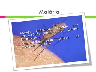 Malária Doença infecciosa causada por protozoários parasitas do gênero  Plasmodium; Transmitidos pela picada do mosquito  Anopheles . 