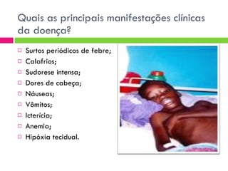 Quais as principais manifestações clínicas da doença? Surtos periódicos de febre; Calafrios; Sudorese intensa; Dores de cabeça; Náuseas; Vômitos; Icterícia; Anemia; Hipóxia tecidual. 