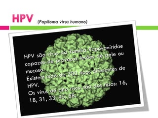 ( Papiloma virus humano) HPV são vírus da família  Papovaviridae  capazes de provocar lesões de pele ou mucosa. Existem mais de 200 tipos diferentes de HPV. Os vírus de alto risco são dos tipos: 16, 18, 31, 33, 45, 58. 