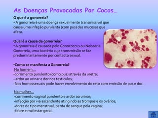 As Doenças Provocadas Por Cocos…
O que é a gonorreia?
• A gonorreia é uma doença sexualmente transmissível que
causa uma infeção purulenta (com pus) das mucosas que
afeta.

Qual é a causa da gonorreia?
• A gonorreia é causada pelo Gonococcus ou Neisseria
Gonorreia, uma bactéria cuja transmissão se faz
predominantemente por contacto sexual.

•Como se manifesta a Gonorreia?
 No homem…
-corrimento purulento (como pus) através da uretra;
- ardor ao urinar e dor nos testículos;
-Nos homossexuais pode haver envolvimento do reto com emissão de pus e dor.

Na mulher…
-corrimento vaginal purulento e ardor ao urinar;
-infecção por via ascendente atingindo as trompas e os ovários;
-dores de tipo menstrual, perda de sangue pela vagina;
-febre e mal estar geral.
 