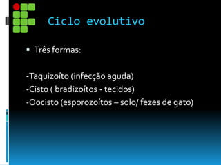 Ciclo evolutivo
 Três formas:
-Taquizoíto (infecção aguda)
-Cisto ( bradizoítos - tecidos)
-Oocisto (esporozoítos – solo/ fezes de gato)
 