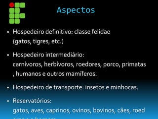Aspectos
• Hospedeiro definitivo: classe felidae
(gatos, tigres, etc.)
• Hospedeiro intermediário:
carnívoros, herbívoros, roedores, porco, primatas
, humanos e outros mamíferos.
• Hospedeiro de transporte: insetos e minhocas.
• Reservatórios:
gatos, aves, caprinos, ovinos, bovinos, cães, roed
 