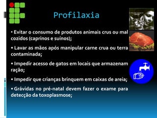 • Evitar o consumo de produtos animais crus ou mal
cozidos (caprinos e suínos);
• Lavar as mãos após manipular carne crua ou terra
contaminada;
• Impedir acesso de gatos em locais que armazenam
ração;
• Impedir que crianças brinquem em caixas de areia;
• Grávidas no pré-natal devem fazer o exame para
detecção da toxoplasmose;
Profilaxia
 