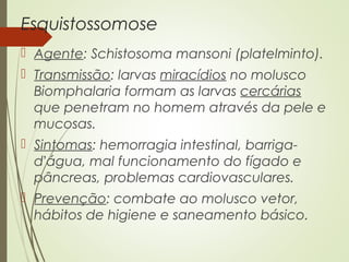 Esquistossomose 
 Agente: Schistosoma mansoni (platelminto). 
 Transmissão: larvas miracídios no molusco 
Biomphalaria formam as larvas cercárias 
que penetram no homem através da pele e 
mucosas. 
 Sintomas: hemorragia intestinal, barriga-d’água, 
mal funcionamento do fígado e 
pâncreas, problemas cardiovasculares. 
 Prevenção: combate ao molusco vetor, 
hábitos de higiene e saneamento básico. 
 