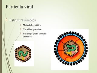 Partícula viral 
 Estrutura simples 
 Material genético 
 Capsídeo proteico 
 Envelope (nem sempre 
presente) 
 