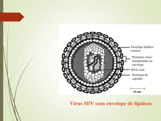 Envelope lipídico 
exterior 
Proteínas virais 
incorporadas no 
envelope 
RNA viral 
Proteínas do 
capsídio 
Vírus HIV com envelope de lipídeos 
 