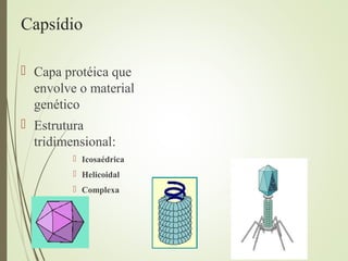 Capsídio 
 Capa protéica que 
envolve o material 
genético 
 Estrutura 
tridimensional: 
 Icosaédrica 
 Helicoidal 
 Complexa 
 