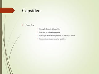 Capsídeo 
 Funções: 
 Proteção do material genético 
 Entrada na célula hospedeira 
 Liberação do material genético ao entrar na célula 
 Empacotamento do material genético 
 