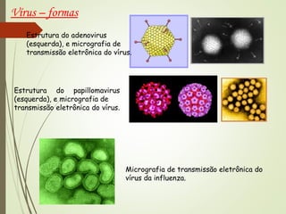 Estrutura do adenovirus 
(esquerda), e micrografia de 
transmissão eletrônica do vírus. 
Estrutura do papillomavirus 
(esquerda), e micrografia de 
transmissão eletrônica do vírus. 
Micrografia de transmissão eletrônica do 
vírus da influenza. 
Vírus – formas 
 