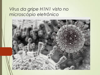 Vírus da gripe H1N1 visto no 
microscópio eletrônico 
 