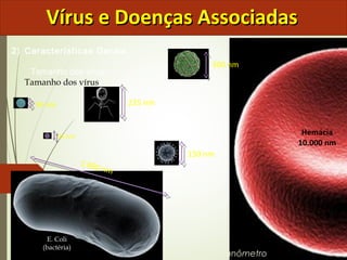 VVíírruuss ee DDooeennççaass AAssssoocciiaaddaass 
2) Características Gerais 
Tamanho dos vírus 
Tamanho dos vírus 
225 nm 
300 nm 
1.000 nm 
90 nm 
150 nm 
Hemácia 
10.000 nm 
24 nm 
E. Coli 
(bactéria) 
nm = nanômetro 
 