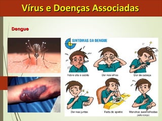 VVíírruuss ee DDooeennççaass AAssssoocciiaaddaass 
DDeenngguuee 
 