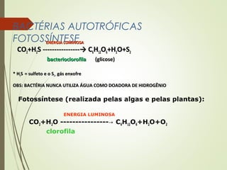 BACTÉRIAS AUTOTRÓFICAS 
FOTOSSÍNTES                                              EENNEERRGGIIAA LLUUMMIINNEOOSSAA 
CCOO22++HH22SS --------------------------------→→ CC66HH1122OO66++HH22OO++SS22 
bbaacctteerriioocclloorrooffiillaa ((gglliiccoossee)) 
** HH22SS == ssuullffeettoo ee oo SS22 == ggááss eennxxooffrree 
OOBBSS:: BBAACCTTÉÉRRIIAA NNUUNNCCAA UUTTIILLIIZZAA ÁÁGGUUAA CCOOMMOO DDOOAADDOORRAA DDEE HHIIDDRROOGGÊÊNNIIOO 
Fotossíntese (realizada pelas algas e pelas plantas): 
ENERGIA LUMINOSA 
CO2+H2O ----------------→ C6H12O6+H2O+O2 
clorofila 
 
