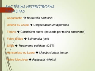 BACTÉRIAS HETERÓTROFAS 
PARASITAS 
Coqueluche  Bordetella pertussis 
Difteria ou Crupe  Corynebacterium diphteriae 
Tétano  Clostridium tetani (causado por toxina bacteriana) 
Febre tifóide  Salmonella typhi 
Sífilis  Treponema pallidum (DST) 
Hanseníase ou Lepra  Mycobacterium leprae. 
Febre Maculosa  Rickettsia rickettsii 
 