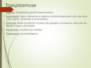 Toxoplasmose 
 Agente: Toxoplasma gondii (esporozoário). 
 Transmissão: água, alimentos e objetos contaminados pela urina de ratos, 
cães, gatos, contendo o protozoário). 
 Sintomas: febre constante, inchaço de gânglios, exantema, infecção do 
fígado e baço, encefalite. 
 Prevenção: controle dos vetores. 
 Tratamento: quimioterápicos. 
 