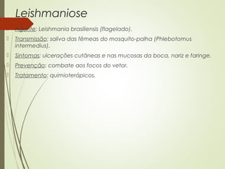 Leishmaniose 
 Agente: Leishmania brasiliensis (flagelado). 
 Transmissão: saliva das fêmeas do mosquito-palha (Phlebotomus 
intermedius). 
 Sintomas: ulcerações cutâneas e nas mucosas da boca, nariz e faringe. 
 Prevenção: combate aos focos do vetor. 
 Tratamento: quimioterápicos. 
 