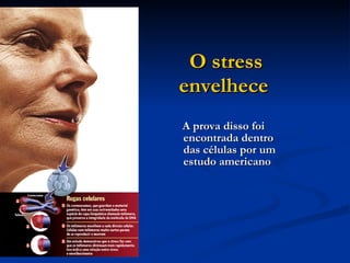 O stress envelhece   A prova disso foi encontrada dentro  das células por um estudo americano   
