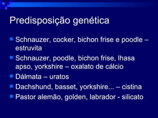 Predisposição genética Schnauzer, cocker, bichon frise e poodle – estruvita Schnauzer, poodle, bichon frise, lhasa apso, yorkshire – oxalato de cálcio Dálmata – uratos Dachshund, basset, yorkshire... – cistina Pastor alemão, golden, labrador - silicato 