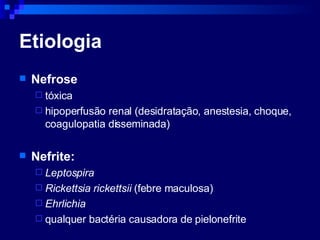 Etiologia Nefrose  tóxica hipoperfusão renal (desidratação, anestesia, choque, coagulopatia disseminada) Nefrite: Leptospira Rickettsia rickettsii  (febre maculosa) Ehrlichia qualquer bactéria causadora de pielonefrite 