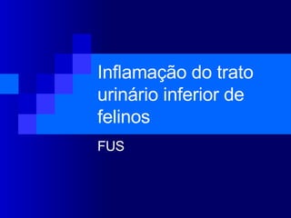 Inflamação do trato urinário inferior de felinos FUS 