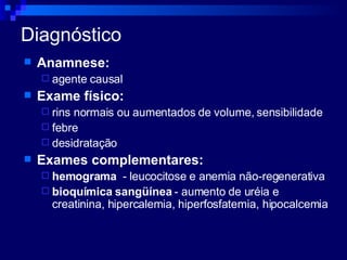 Diagnóstico Anamnese: agente causal Exame físico: rins normais ou aumentados de volume, sensibilidade febre desidratação Exames complementares: hemograma   - leucocitose e anemia não-regenerativa bioquímica sangüínea  - aumento de uréia e creatinina, hipercalemia, hiperfosfatemia, hipocalcemia 