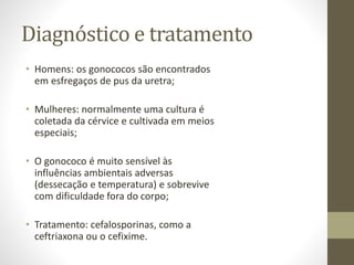 Diagnóstico e tratamento
• Homens: os gonococos são encontrados
em esfregaços de pus da uretra;
• Mulheres: normalmente uma cultura é
coletada da cérvice e cultivada em meios
especiais;
• O gonococo é muito sensível às
influências ambientais adversas
(dessecação e temperatura) e sobrevive
com dificuldade fora do corpo;
• Tratamento: cefalosporinas, como a
ceftriaxona ou o cefixime.
 
