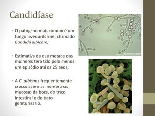 Candidíase
• O patógeno mais comum é um
fungo leveduriforme, chamado
Candida albicans;
• Estimativa de que metade das
mulheres terá tido pelo menos
um episódio até os 25 anos;
• A C. albicans frequentemente
cresce sobre as membranas
mucosas da boca, do trato
intestinal e do trato
geniturinário.
 