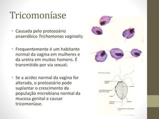Tricomoníase
• Causada pelo protozoário
anaeróbico Trichomonas vaginalis;
• Frequentemente é um habitante
normal da vagina em mulheres e
da uretra em muitos homens. É
transmitido por via sexual;
• Se a acidez normal da vagina for
alterada, o protozoário pode
suplantar o crescimento da
população microbiana normal da
mucosa genital e causar
tricomoníase.
 