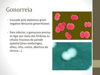 Gonorreia
• Causada pelo diplococo gram-
negativo Neisseria gonorrhoeae;
• Para infectar, o gonococo precisa
se ligar por meio das fímbrias às
células mucosas da parede
epitelial (área orofaríngea,
olhos, reto, uretra, abertura da
cérvice...).
 