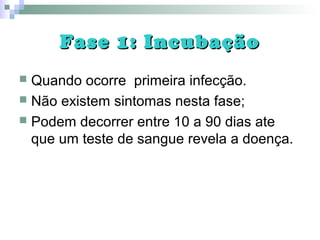 Fase 1: IncubaçãoFase 1: Incubação
 Quando ocorre primeira infecção.
 Não existem sintomas nesta fase;
 Podem decorrer entre 10 a 90 dias ate
que um teste de sangue revela a doença.
 