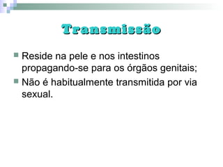 TransmissãoTransmissão
 Reside na pele e nos intestinos
propagando-se para os órgãos genitais;
 Não é habitualmente transmitida por via
sexual.
 