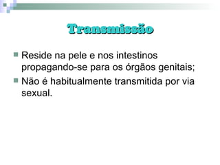 Transmissão Reside na pele e nos intestinos propagando-se para os órgãos genitais; Não é habitualmente transmitida por via sexual. 
