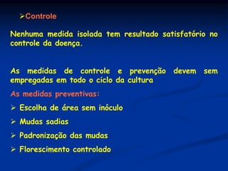 Controle
Nenhuma medida isolada tem resultado satisfatório no
controle da doença.
As medidas de controle e prevenção devem sem
empregadas em todo o ciclo da cultura
As medidas preventivas:
 Escolha de área sem inóculo
 Mudas sadias
 Padronização das mudas
 Florescimento controlado
 