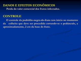 DANOS E EFEITOS ECONÔMICOS
Perda do valor comercial dos frutos infectados.
CONTROLE
O controle da podridão-negra-do-fruto tem início no momento
da colheita que deve ser procedida cortando-se o pedúnculo, a
aproximadamente, 2 cm da base do fruto.
 